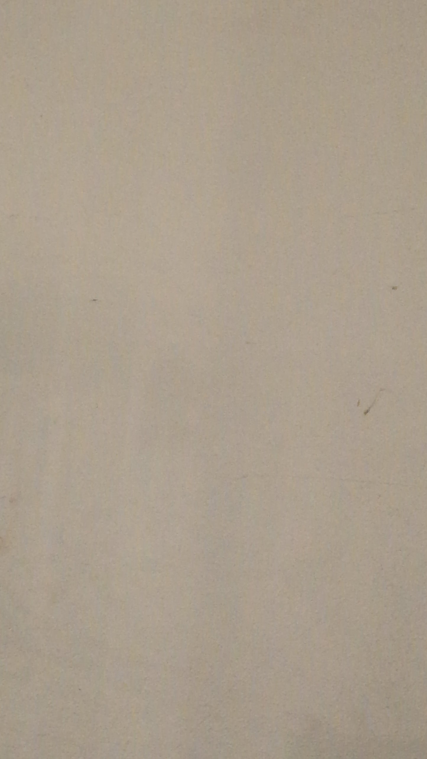 Logo White