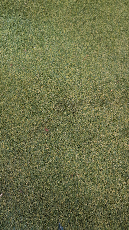 Logo green